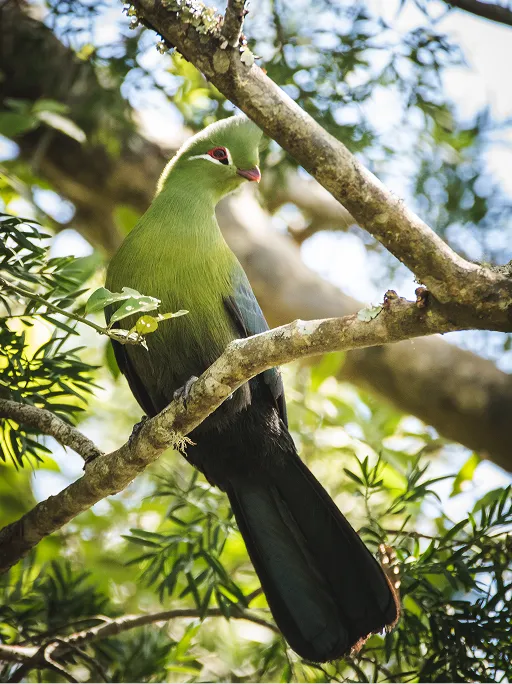 Garden Route National Park